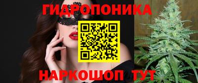 гашик Донецк