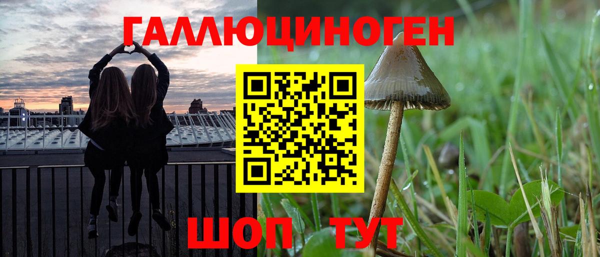 Галлюциногенные грибы Magic Shrooms  Вход с VPN  Можга 